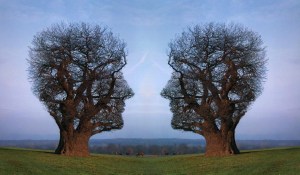 gezicht_boom_dubbel_in_dialoog