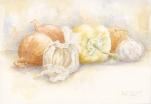 knoflook en uien