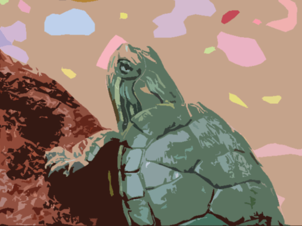 schildpad.png