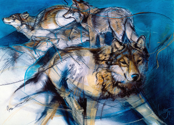 wolven