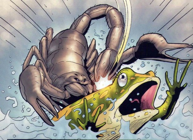 kikkers-en-schorpioen-3