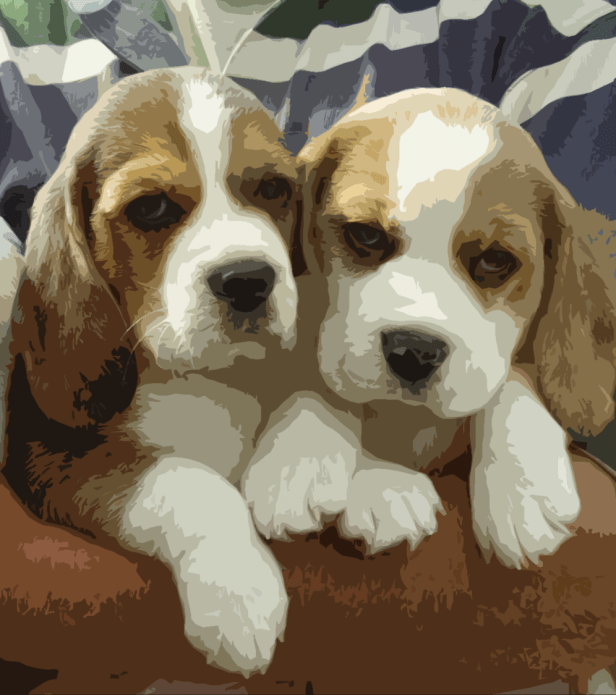 beagles.png