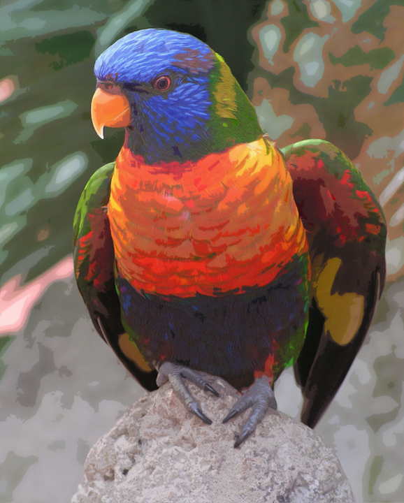 papagaai