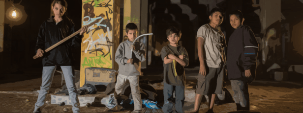 tigers are not afraid